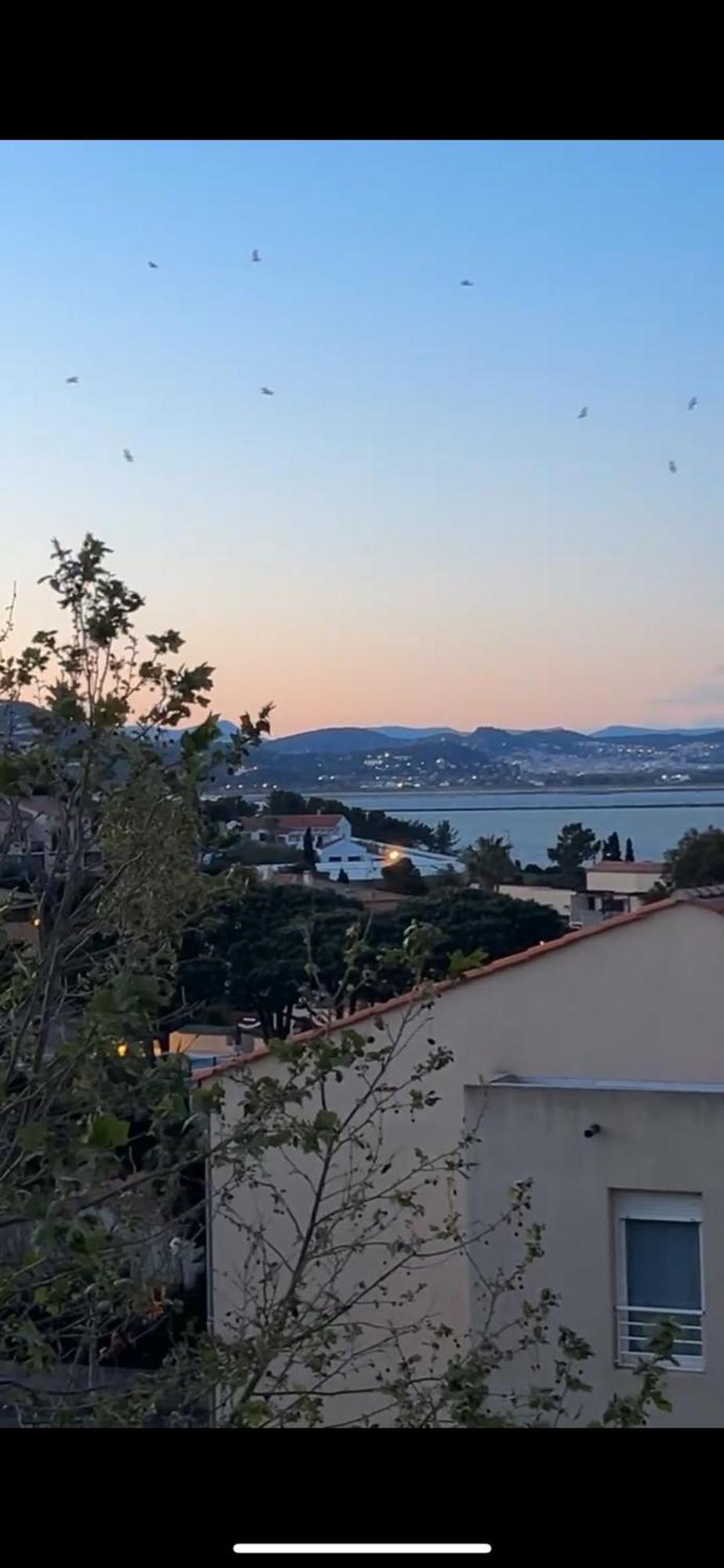 Apartamento Superbe Duplex Refait A Neuf ! Hyères Exterior foto